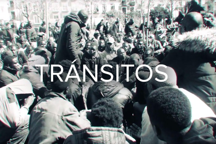 transistos3.jpg