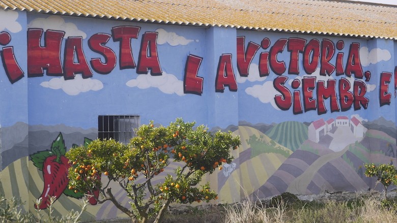 Imaginea din antet
