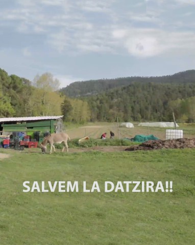 Imaginea din antet