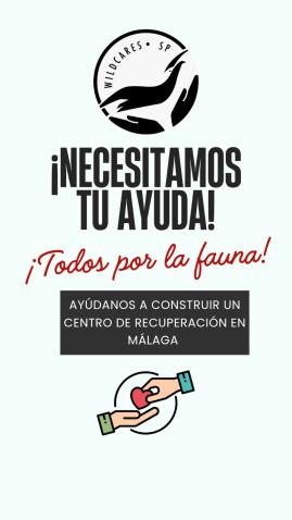 Imaginea din antet
